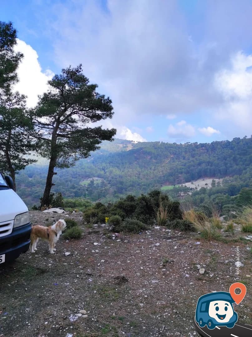 Çam Manzaralı Vahşi Kamp Noktası - Kaş, Antalya, foto 3