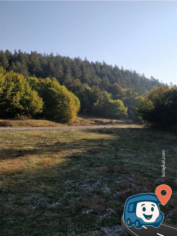 Dere Kenarı Düz Çimlik Alan - Bolu Merkez, Bolu, foto 6