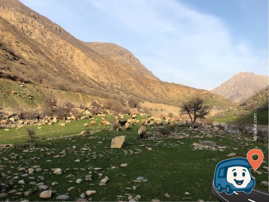 Nehir Kenarı Vahşi Kamp Noktası - Hakkâri Merkez, Hakkari, foto 1