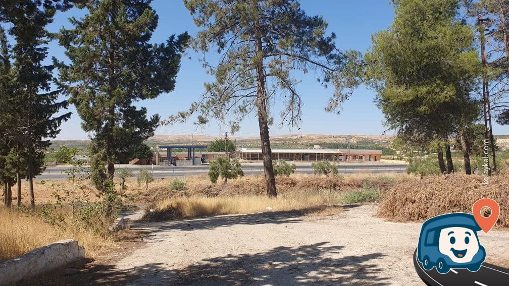 Yol Üzerindeki Ağaçlar - Nizip, Gaziantep, foto 2