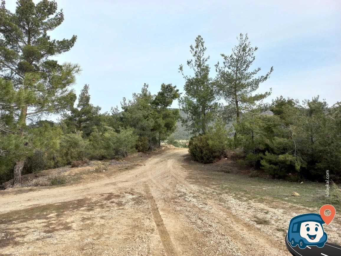Pamukkale Wood - Denizli, foto 3