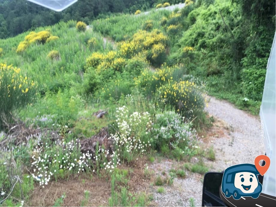 Küçük Kamp Seçeneği - İnebolu, Kastamonu, foto 1
