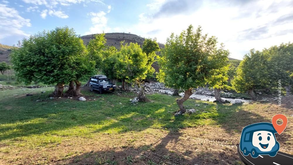 Ağaçlı Çayırlık Alan - Şirvan, Siirt, foto 2