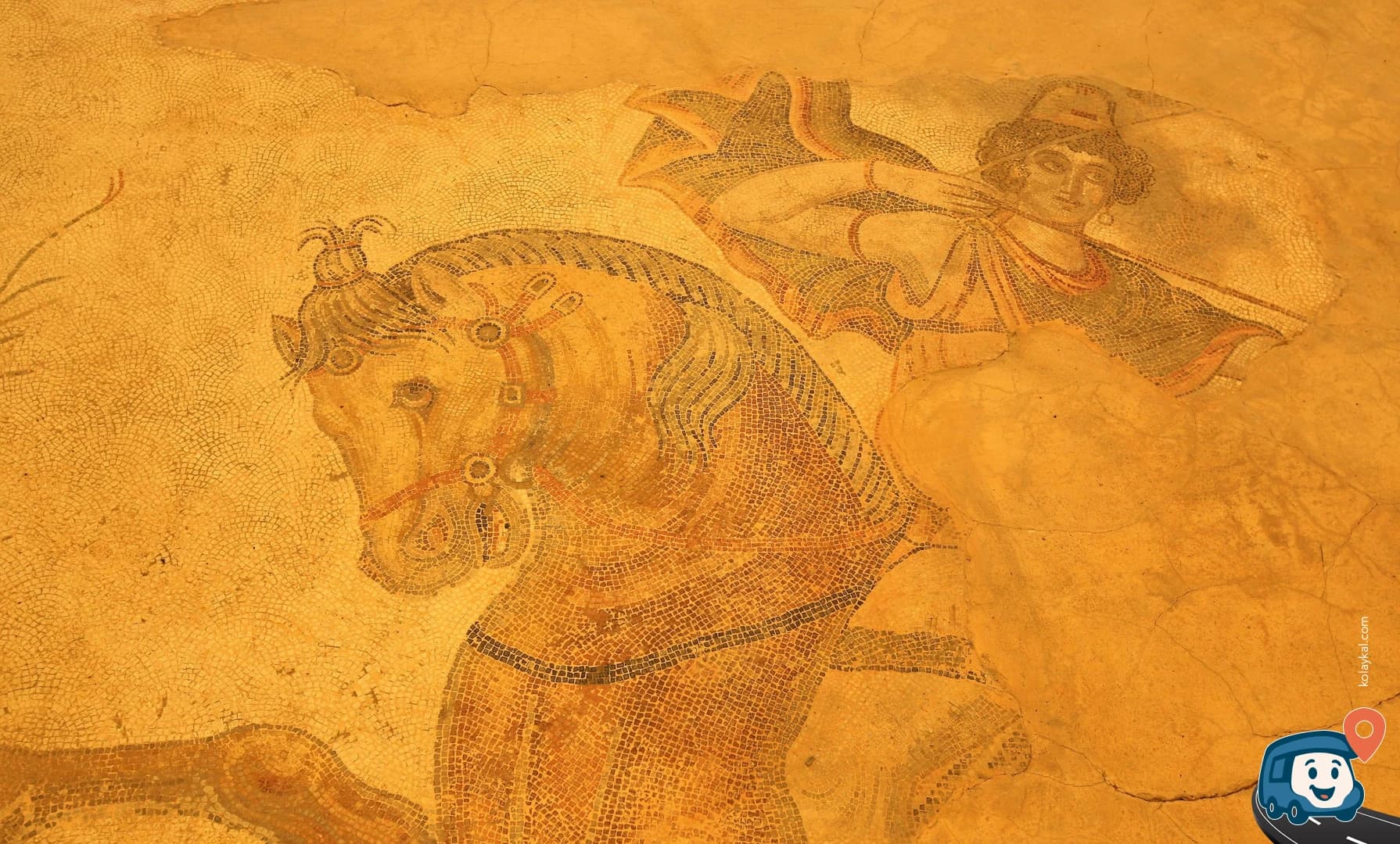 Haleplibahçe Mozaik Müzesi - Eyyübiye, Şanlıurfa, foto 2