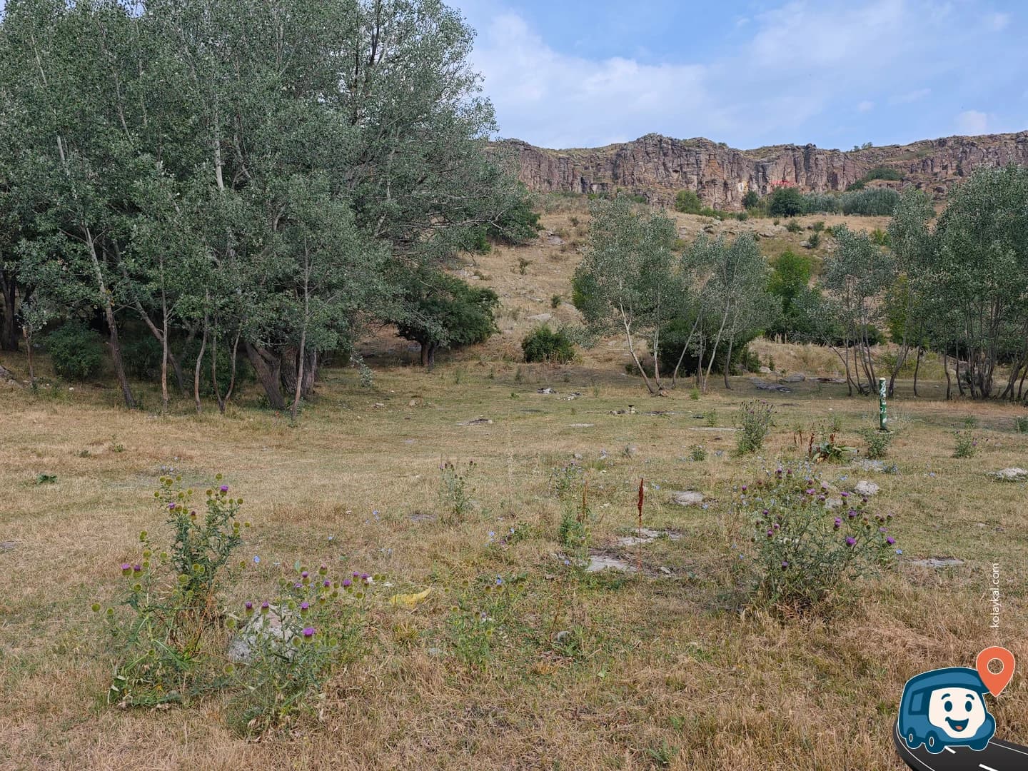 Terk Edilmiş Piknik Alanı - Kars Merkez, Kars, foto 3