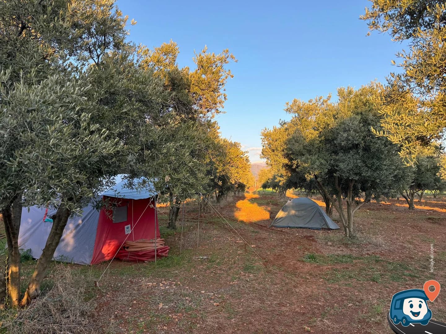 Olive Garden Kamp Alanı - Karacasu, Aydın, foto 2