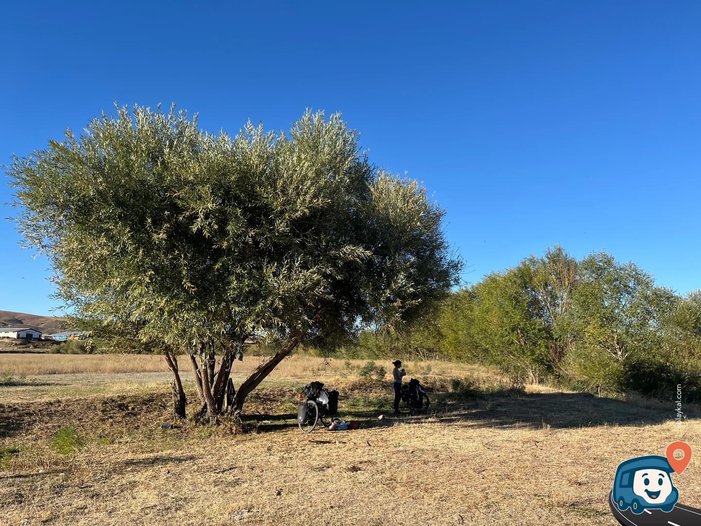 Fırat Nehri Kenarı Kamp ve Mola Alanı - Tercan, Erzincan, foto 1