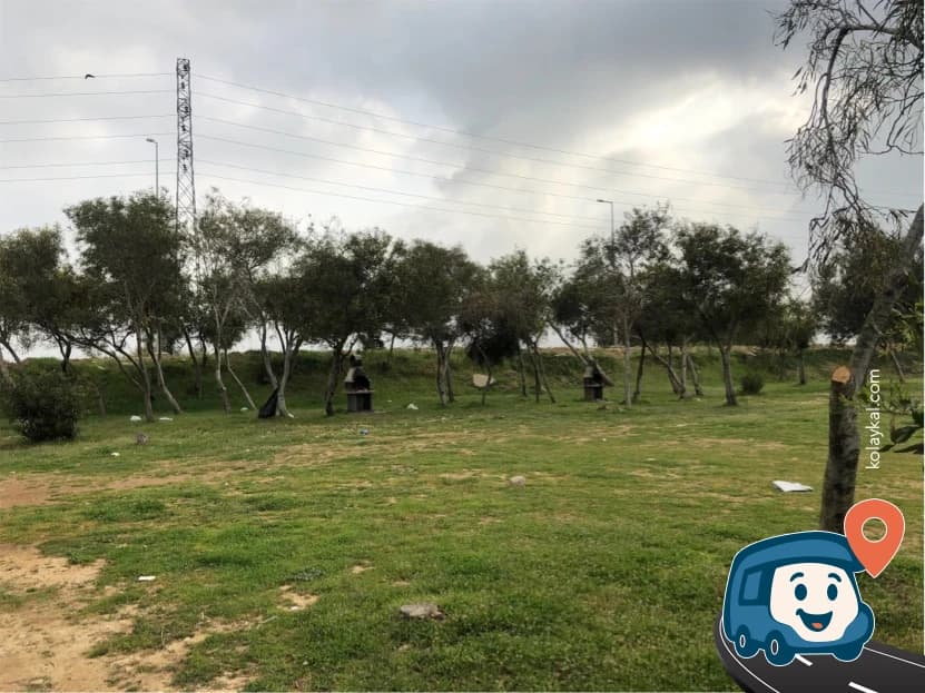 Barisvip Vahşi Kamp Alanı - Serik, Antalya, foto 4