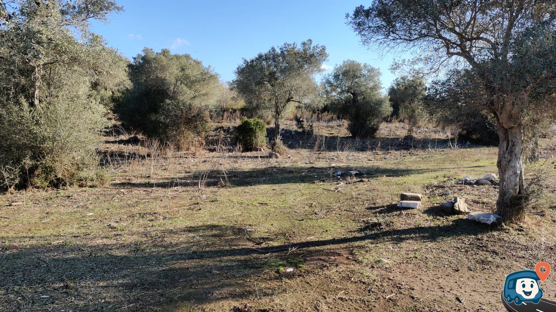 Bargylia Antik Kenti Vahşi Kamp Alanı - Milas, Muğla, foto 1