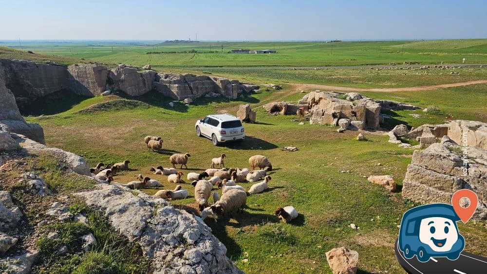 Dara Taş Ocağı Yanı Kamp Alanı - Artuklu, Mardin, foto 4