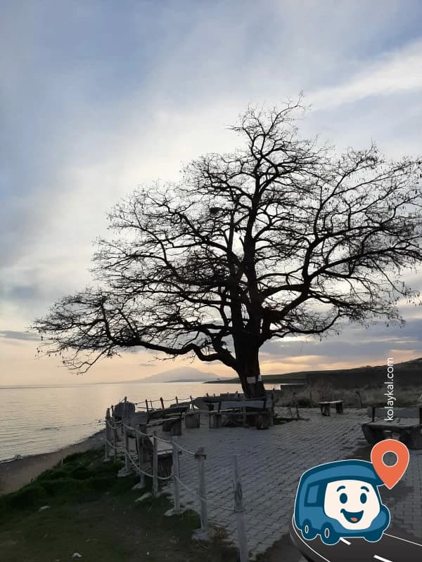 Atayurt Kamp Alanı - Muradiye, Van, foto 3