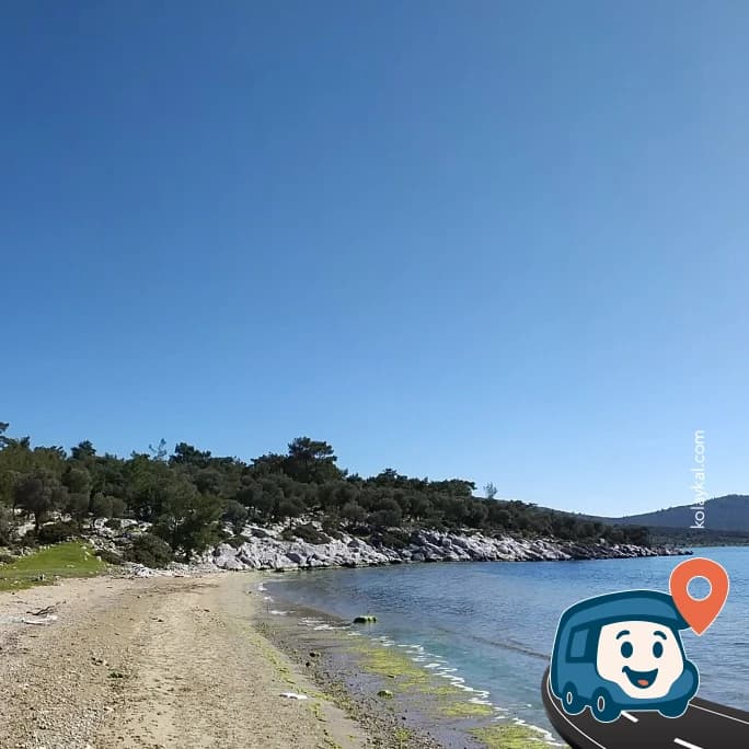 Plaj Kampı - Milas, Muğla, foto 6