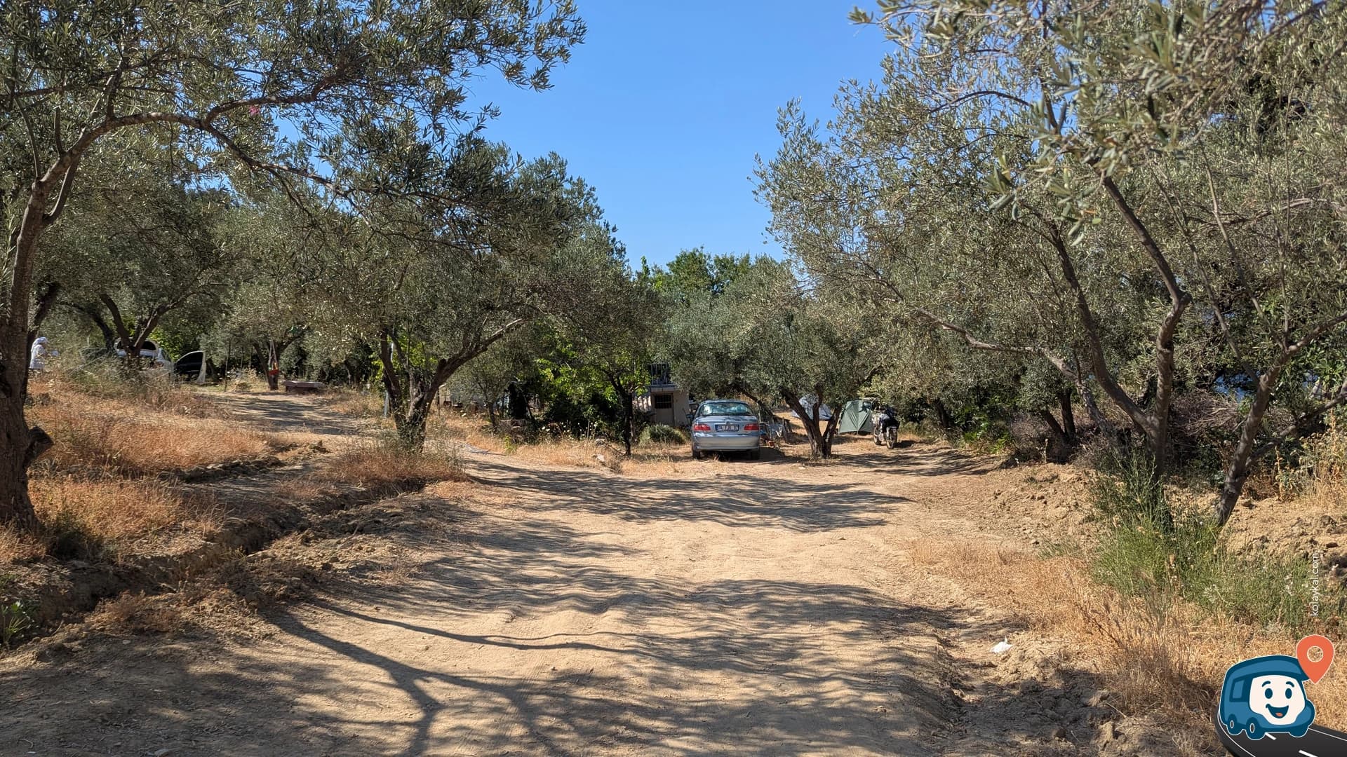 Zeytinlik Çadır Kamp ve Piknik Alanı - Eceabat, Çanakkale, foto 1