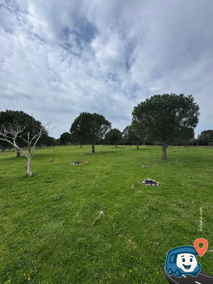 Orman İçinde Düzlük Alan - Çanakkale Merkez, Çanakkale, foto 3