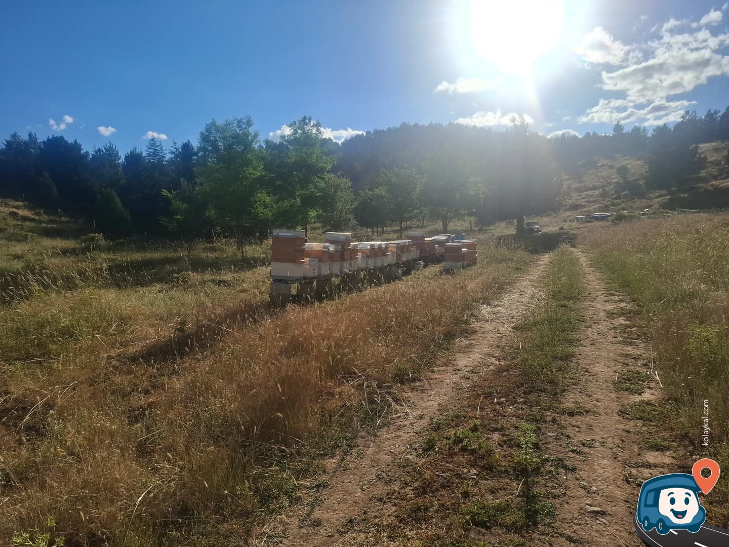 Vahşi Kamp Noktası - Göksun, Kahramanmaraş, foto 1