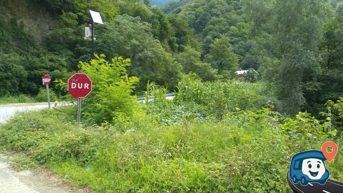 Doğal Kaynak Suyu Çeşmesi - Tirebolu, Giresun, foto 1