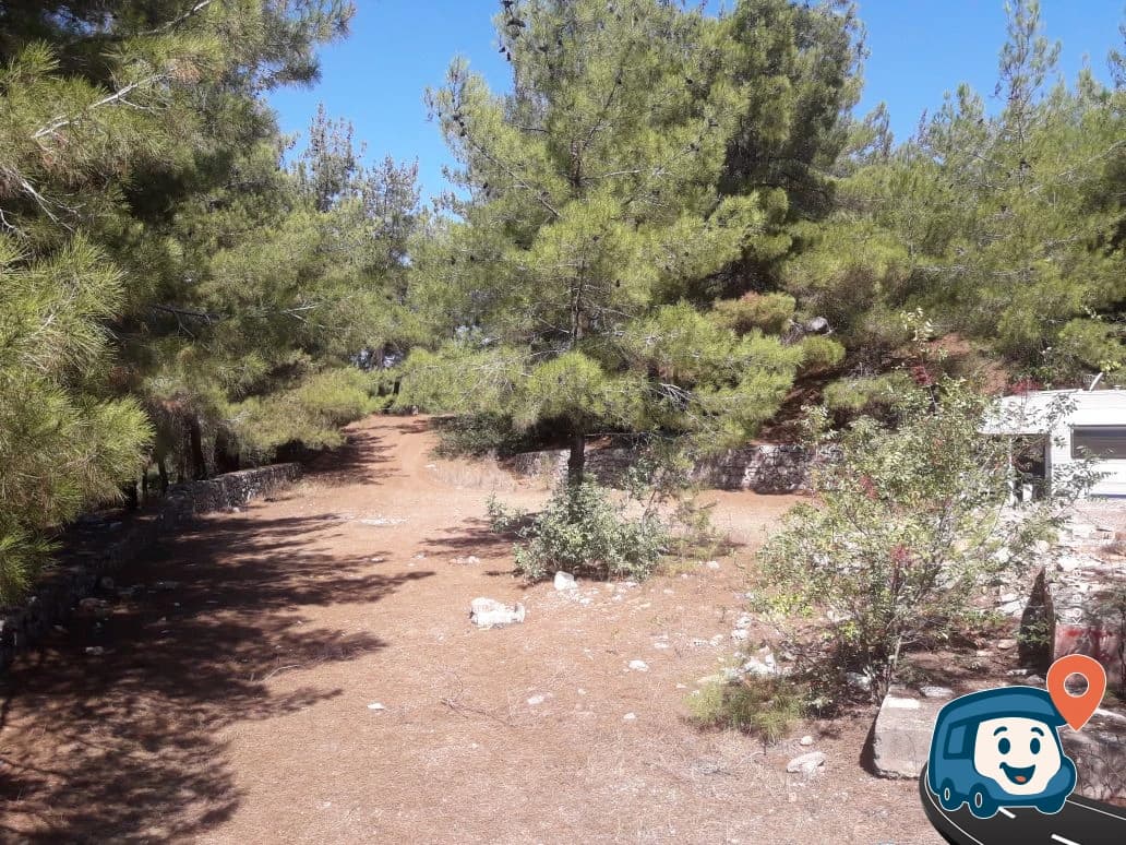 Hillside Vahşi Kamp Alanı - Hasanbeyli, Osmaniye, foto 3