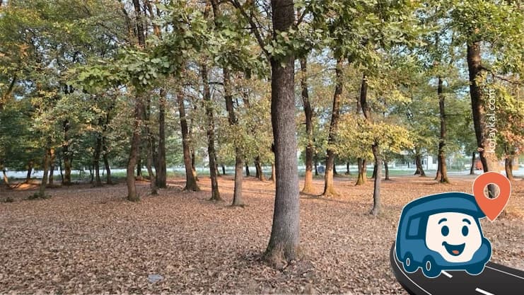 Meydan Yakını Otopark Alanı - Düzce, foto 1