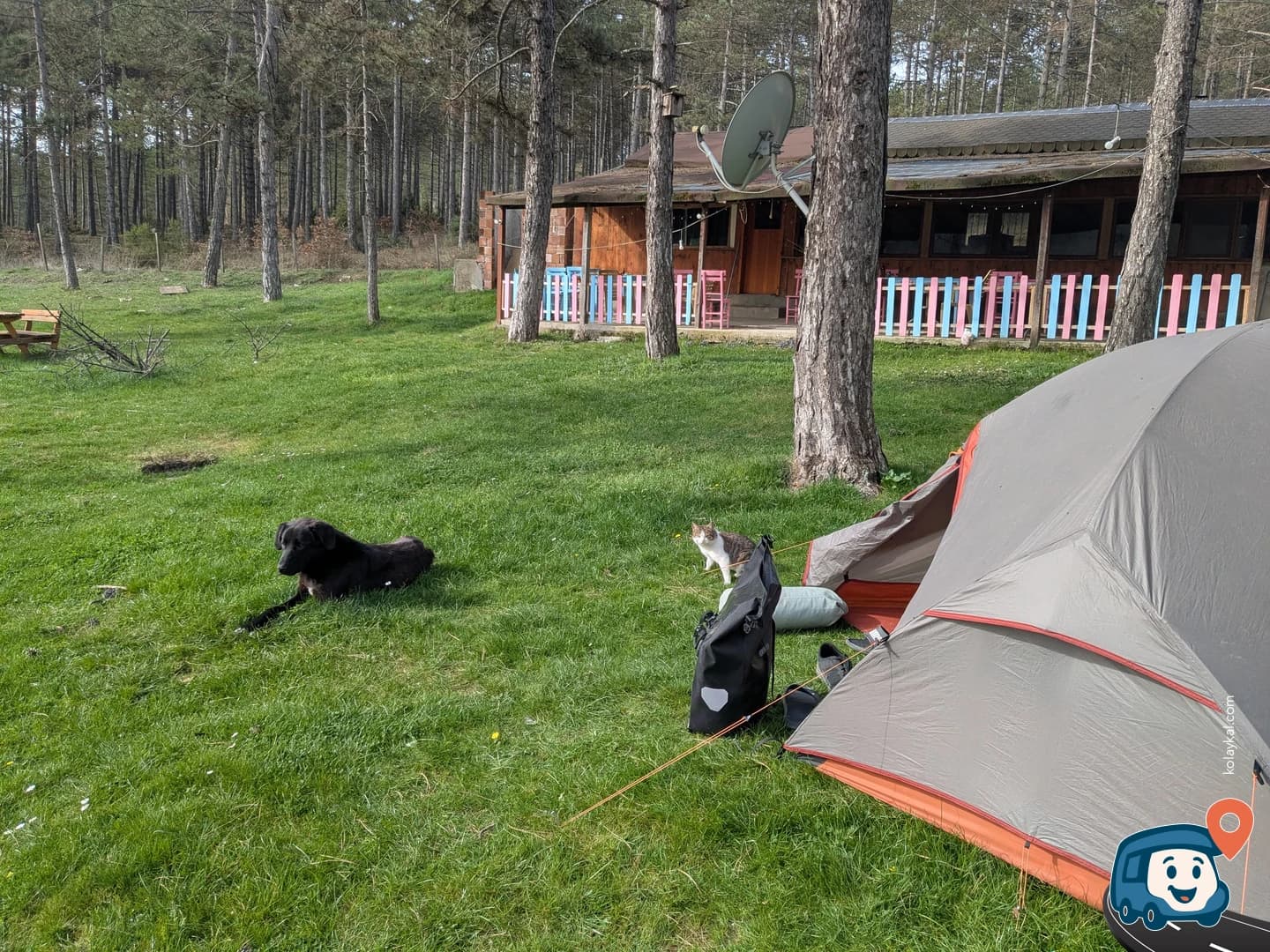 Göl Kenarı Kamp Alanı - Yenice, Çanakkale, foto 1