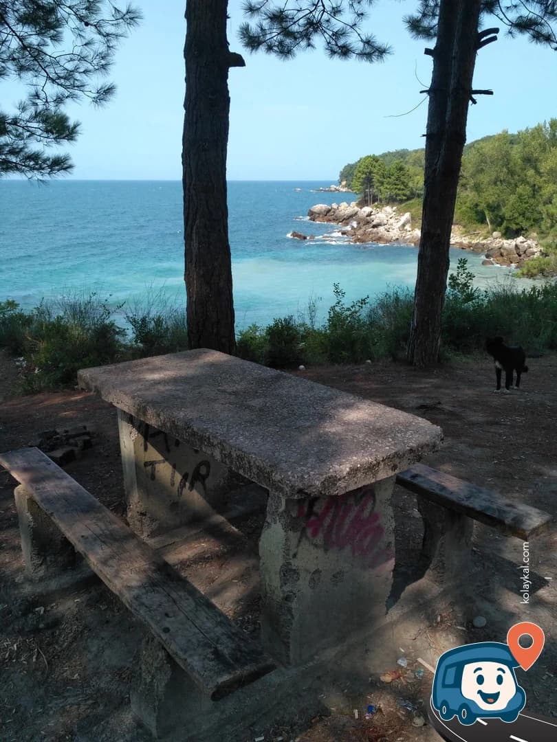 Şeyhler Koyu Kamp ve Piknik Alanı - Kurucaşile, Bartın, foto 2