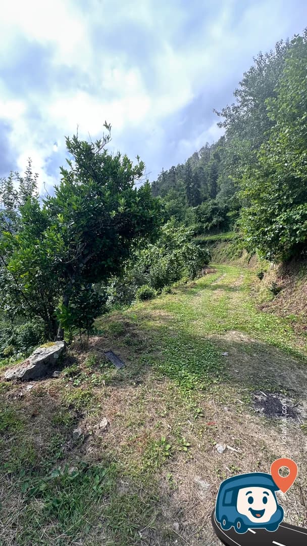 Toprak Yol Üzerinde Virajdaki Açıklık - Of, Trabzon, foto 1