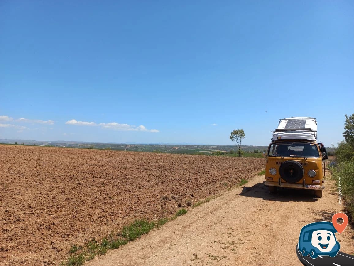 Tarla - Kırklareli Merkez, Kırklareli, foto 5