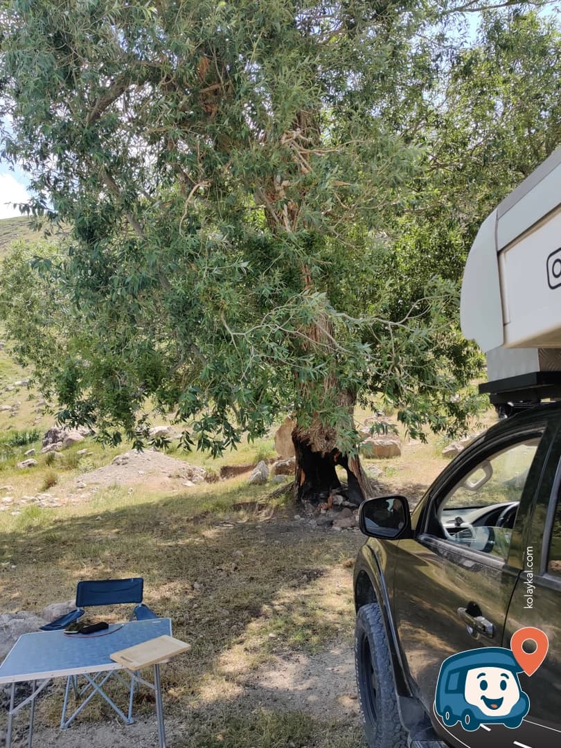 Ağrı Dağı Manzaralı Ağaç Altı Kamp Alanı - Doğubayazıt, foto 1