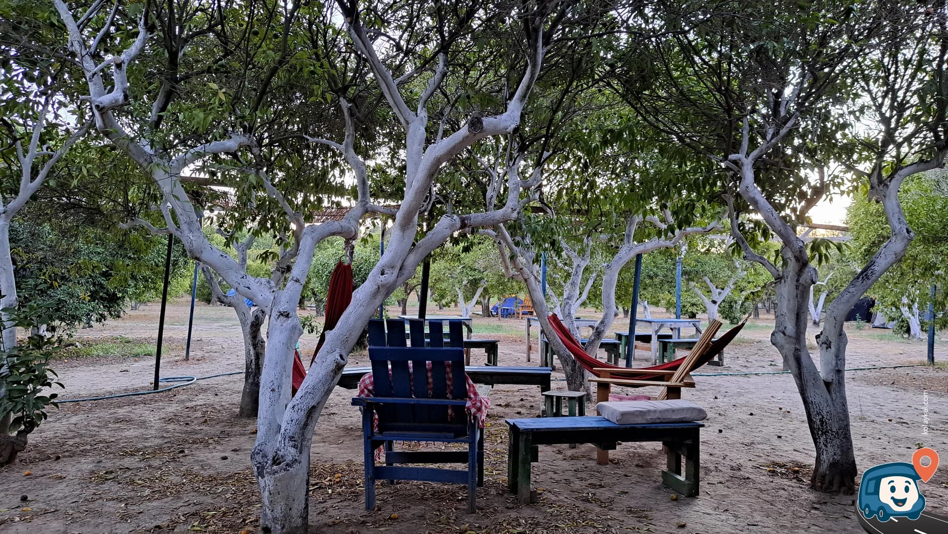 Bodrum Ecofarm Kamp ve Hostel - Muğla, foto 2