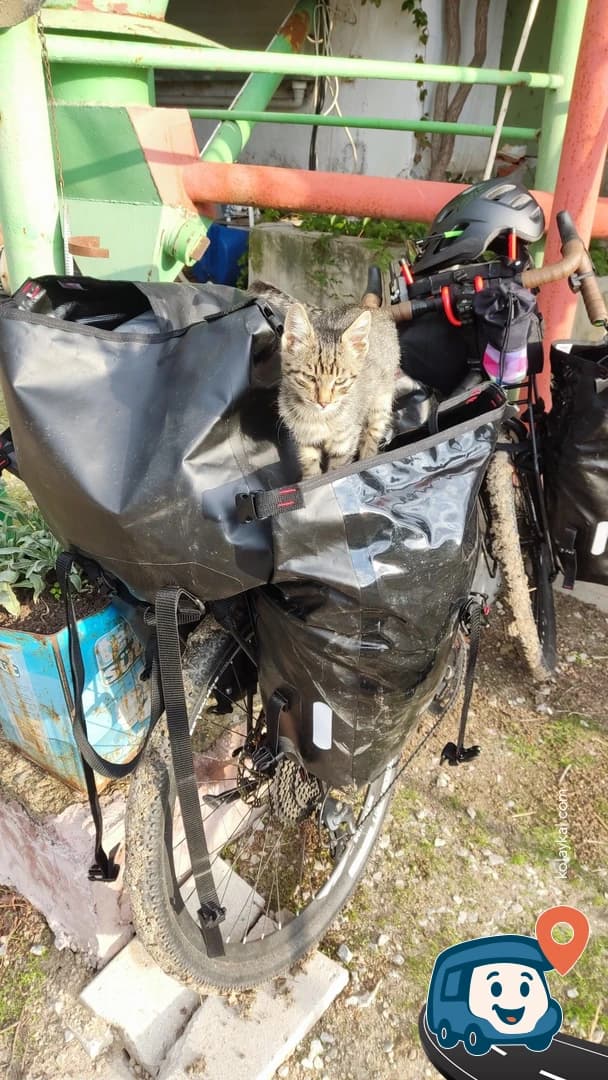 Free Garden Kamp Alanı - Biga, Çanakkale, foto 4