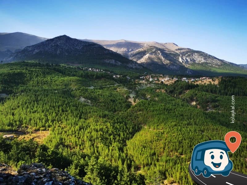 Çam Ağaçları Altı Vahşi Kamp Alanı - Pozantı, Adana, foto 2