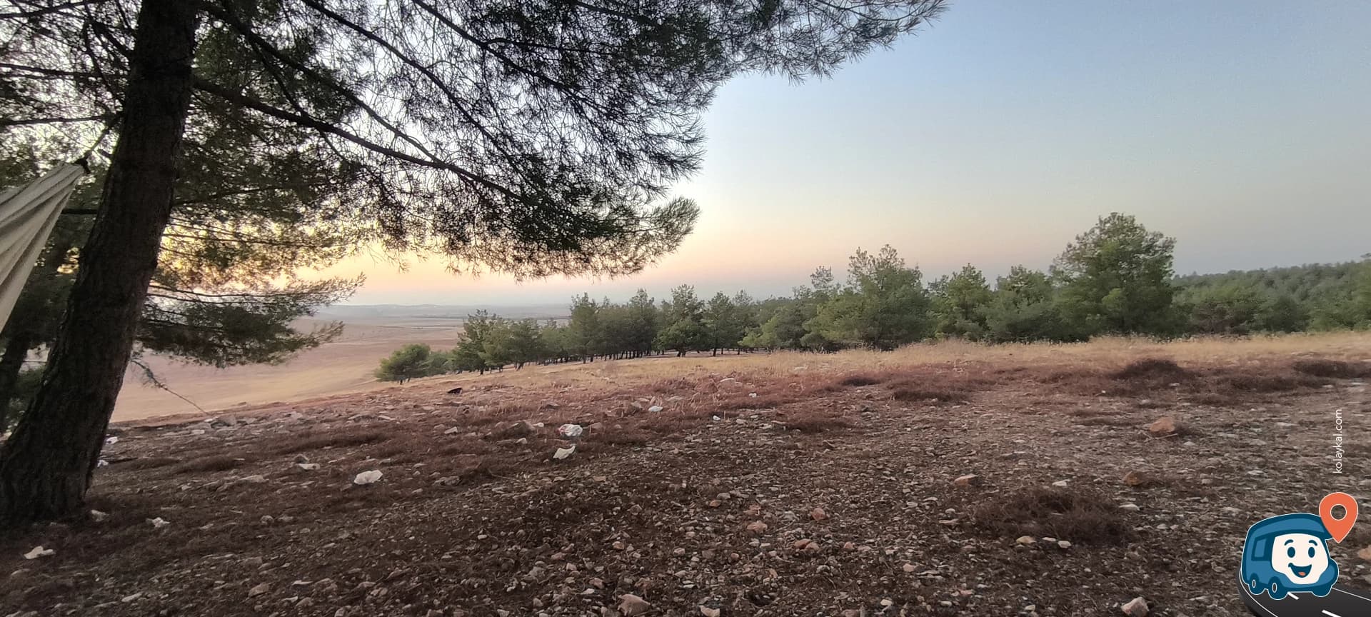 Pine Grove Vahşi Kamp Alanı - Haliliye, Şanlıurfa, foto 2