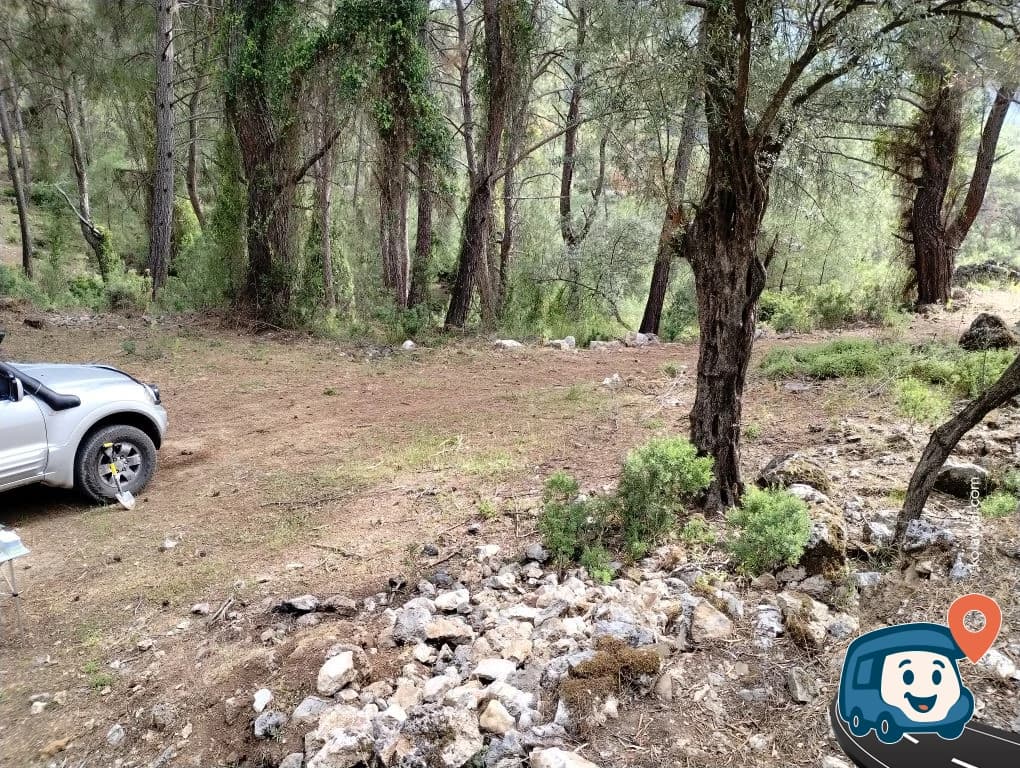 İztuzu Yakını Orman Açıklığı Kamp Alanı - Ortaca, Muğla, foto 2