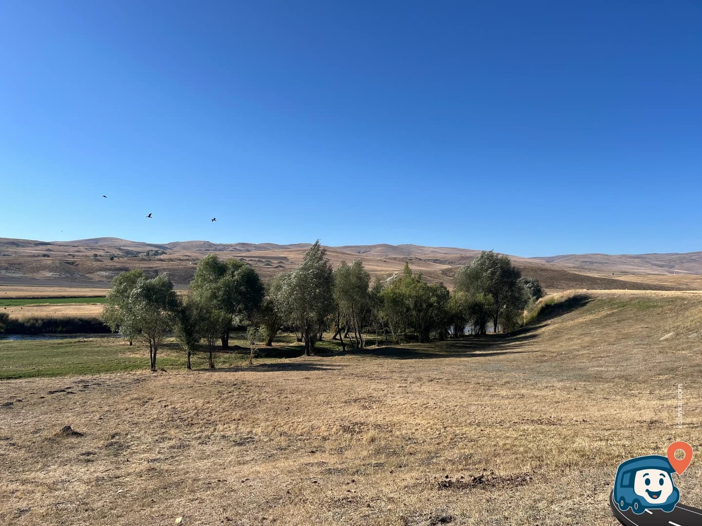 Nehir Kenarı Vahşi Kamp Alanı - Aziziye, Erzurum, foto 6