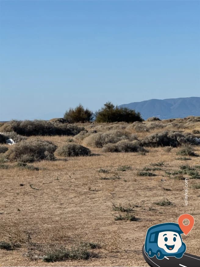 Kumsal Kenarı Vahşi Kamp Alanı - Dikili, İzmir, foto 1