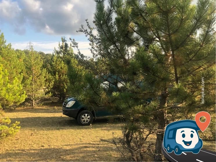 Yol Kenarı Vahşi Kamp Alanı - Mudurnu, Bolu, foto 1