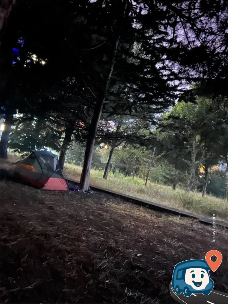 Yaylacık Çimeni - Akçaabat, Trabzon, foto 1