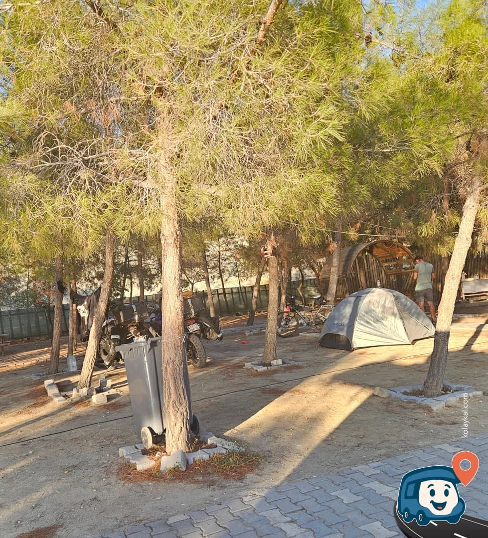 Çamlık Kamping - Nallıhan, Ankara, foto 1