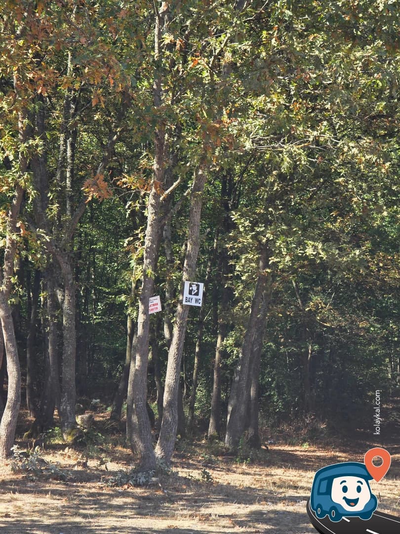 Yol Kenarı Açık Alan - Mudurnu, Bolu, foto 4