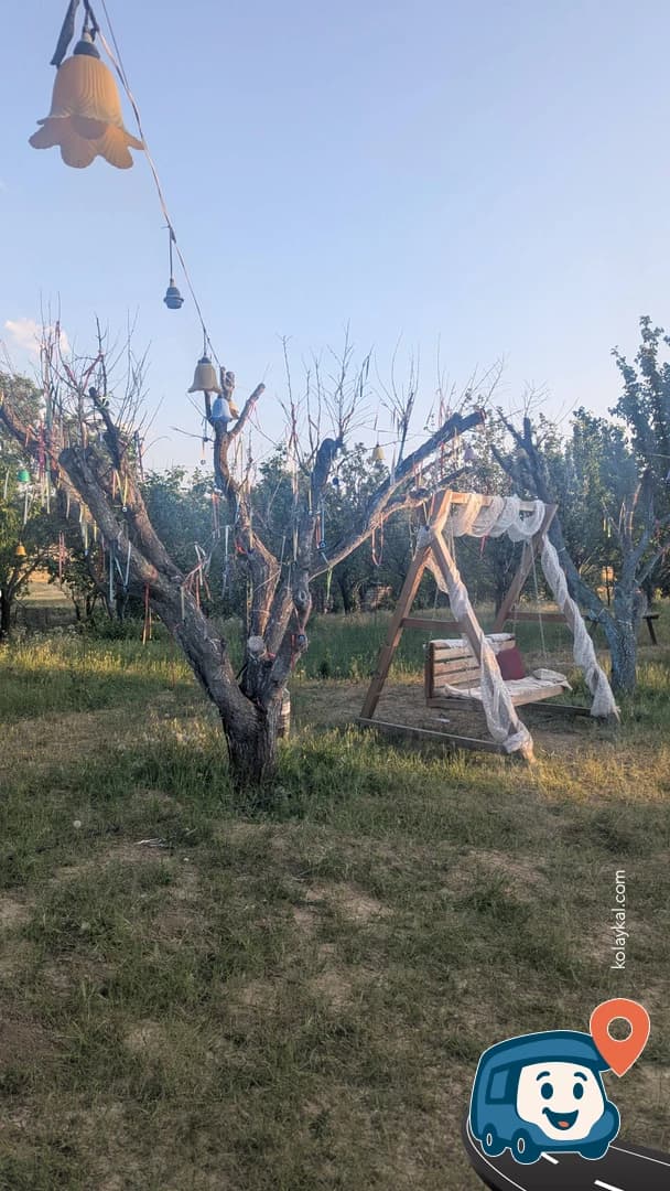 Piknik Alanı - Polatlı, Ankara, foto 2