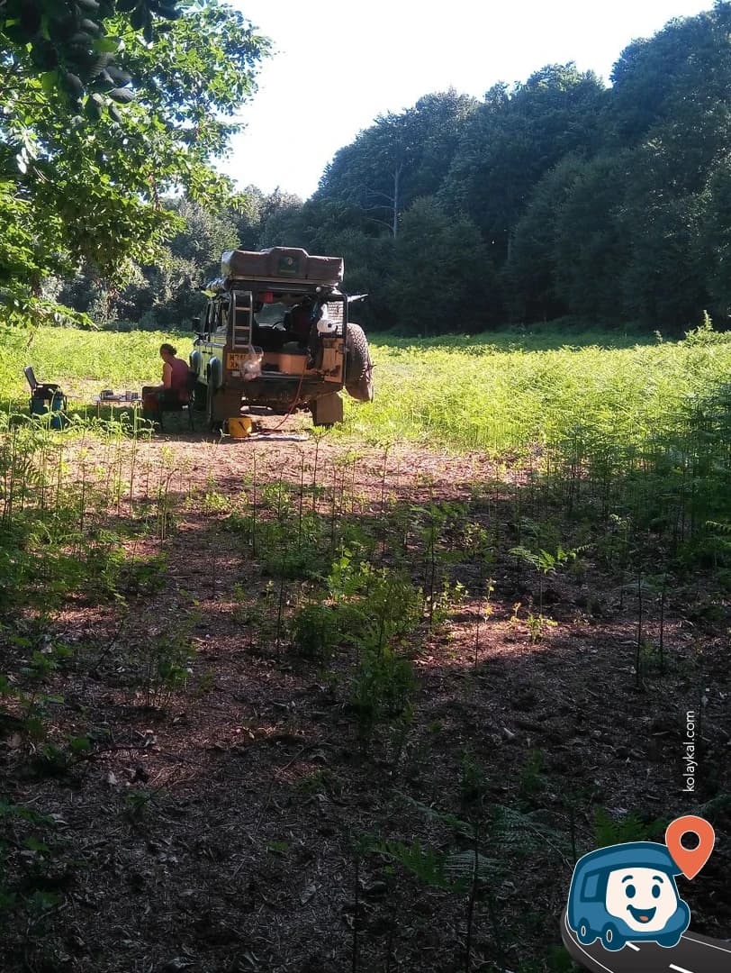 Orman Açıklığı - Gölcük, Kocaeli, foto 2