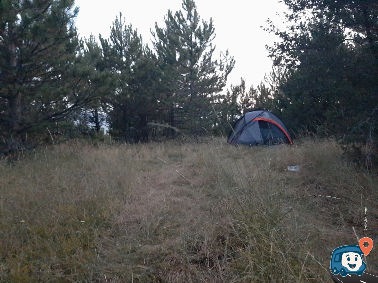 Vadi Manzaralı Sakin Kamp Alanı - Gerede, Bolu, foto 7