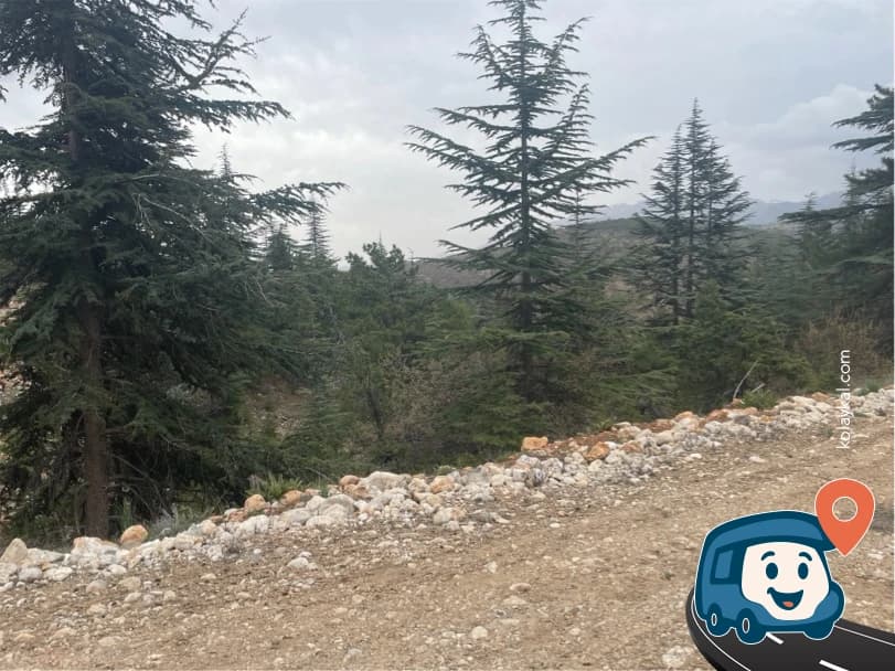 Ağaçların Altındaki Vahşi Kamp Alanı - Develi, Kayseri, foto 2