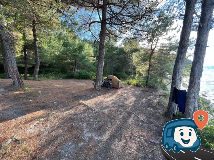 Şeyhler Koyu Kamp ve Piknik Alanı - Kurucaşile, Bartın, foto 4