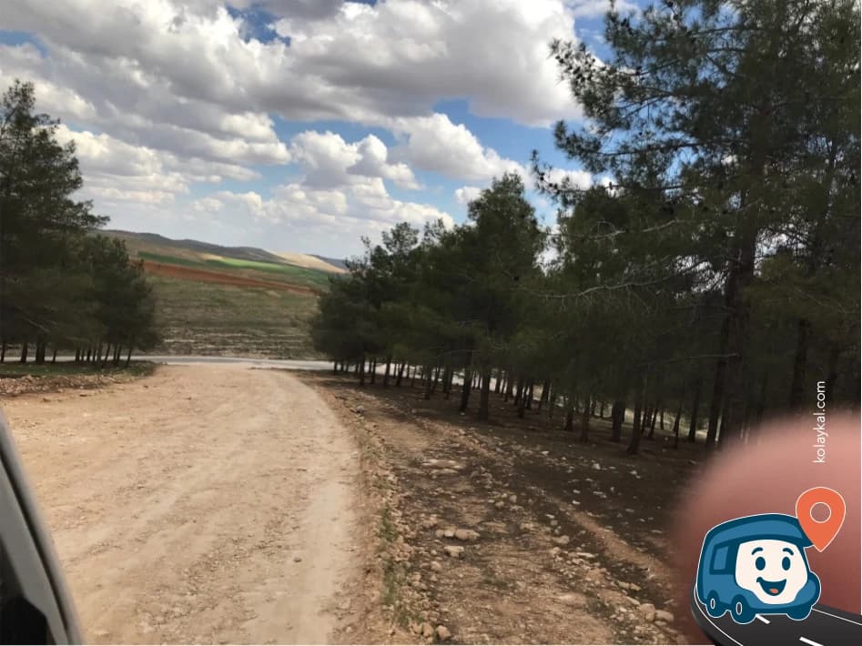 Gullubag Mahallesi Vahşi Kamp Alanı - Karaköprü, Şanlıurfa, foto 4