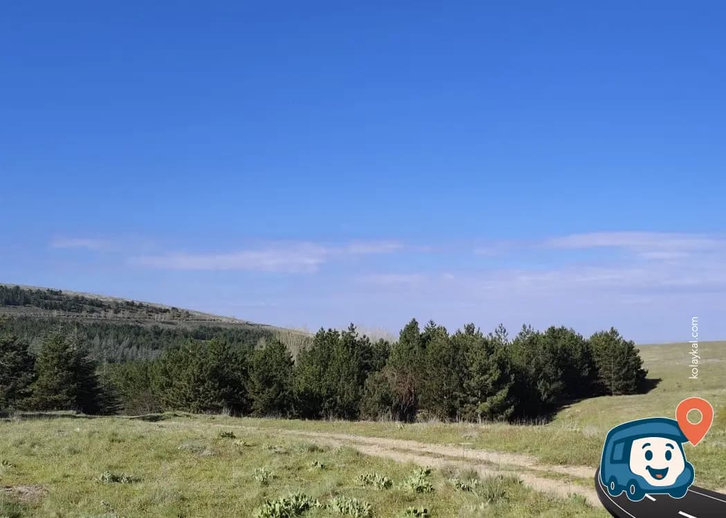Afyonkarahisar Baraj Gölü Sakin Manzara Noktası - Sivrihisar, Eskişehir, foto 3